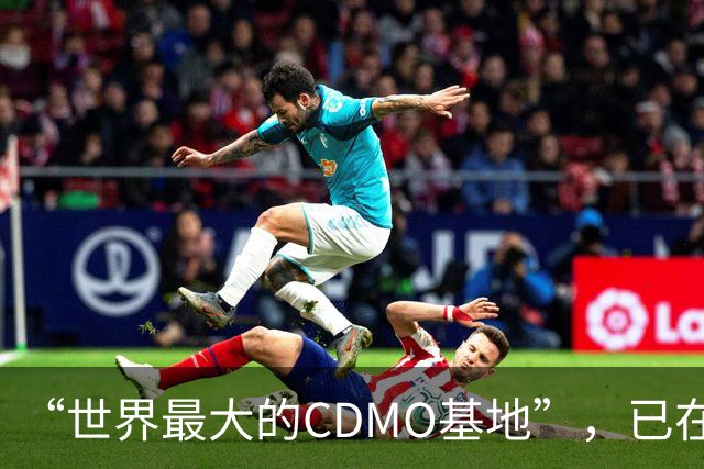 “世界最大的CDMO基地”，已在上海闲置两年多