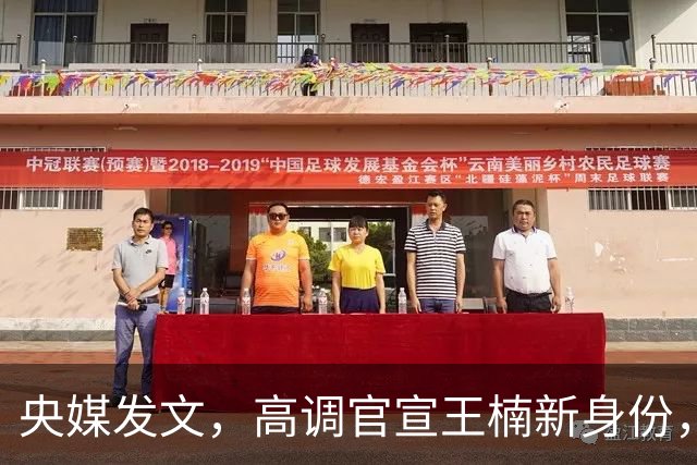 央媒发文，高调官宣王楠新身份，资产查封被带走调查传闻早有真相