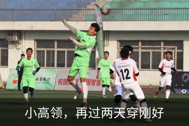 小高领，再过两天穿刚好