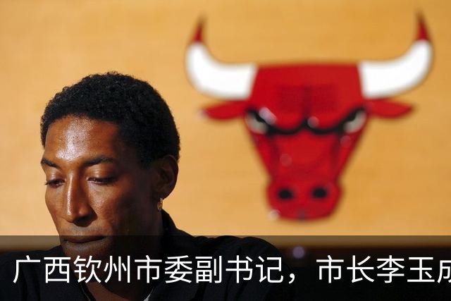 广西钦州市委副书记，市长李玉成简历