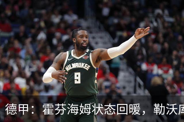德甲：霍芬海姆状态回暖，勒沃库森表现强势