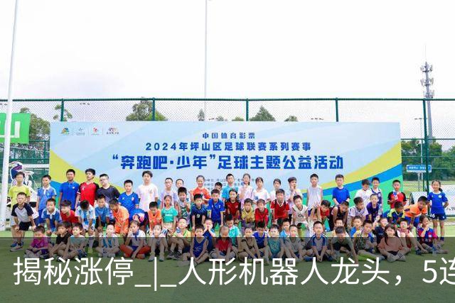 揭秘涨停 | 人形机器人龙头，5连板