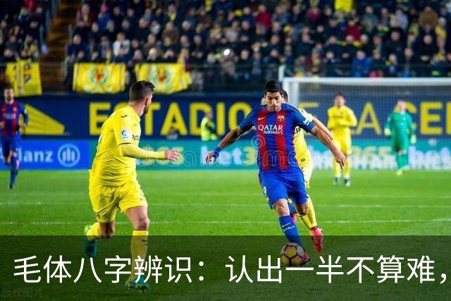 毛体八字辨识：认出一半不算难，读懂这三处笔意才是真功夫
