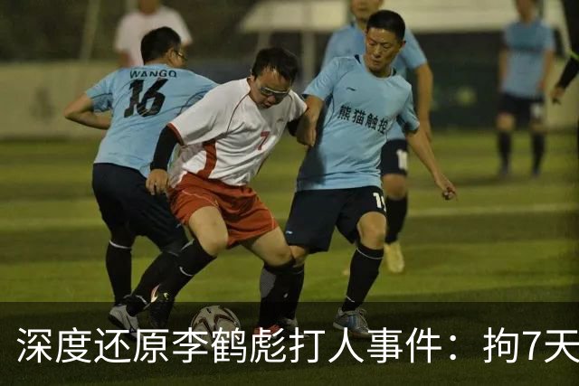 深度还原李鹤彪打人事件：拘7天，何云伟曹云金出走，他却被重用