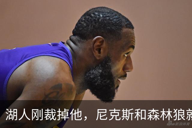 湖人刚裁掉他，尼克斯和森林狼就盯上了