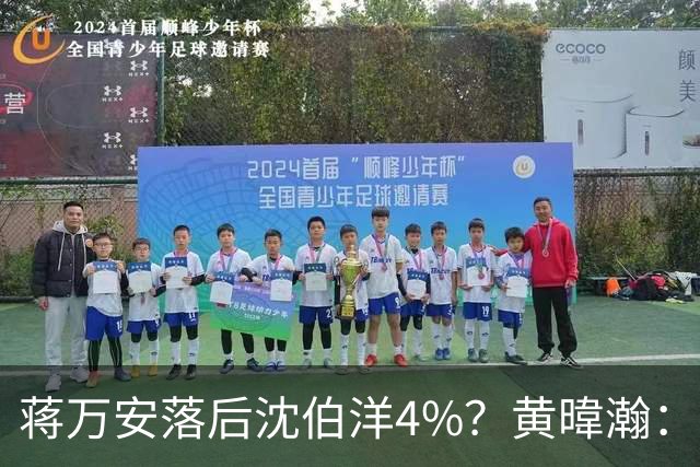 蒋万安落后沈伯洋4%？黄暐瀚：联合报民调挑动蓝营选民敏感神经