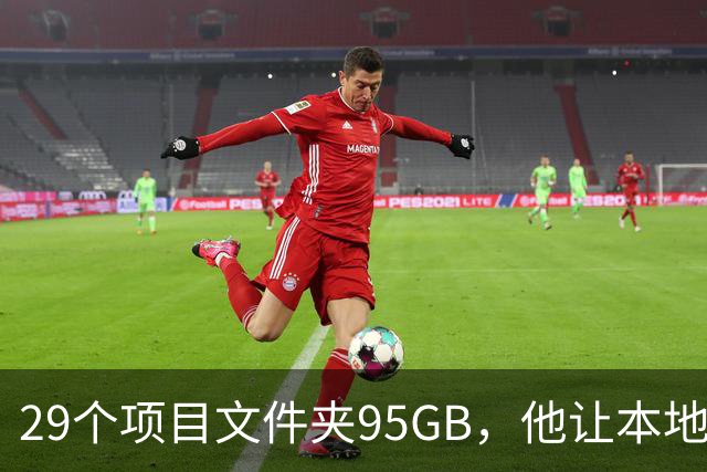 29个项目文件夹95GB，他让本地模型逐个判生死